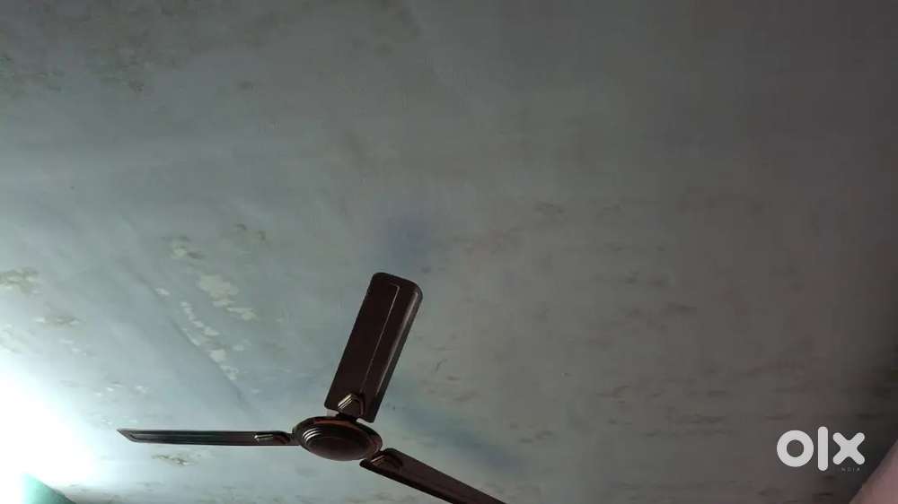 1 tala asbestos house with false ceiling -(shali record)