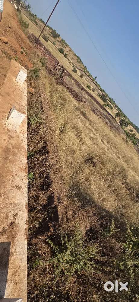 आंबा लागवड साठी उपयुक्त अशी कोकणामध्ये शेत जमीन जागेमध्ये स्वतःची लाईट