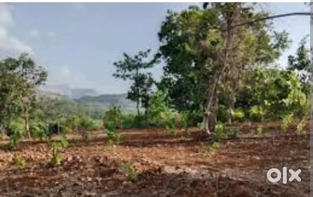 9 guntha agriculture plot for sale in rawalje village