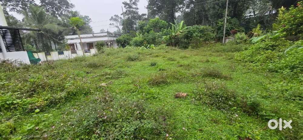 10 Cent house plot for sale