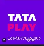 Customer care executive