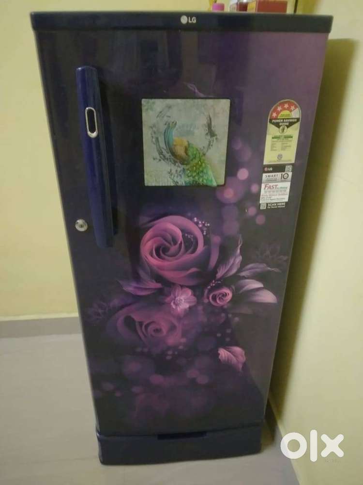 LG 4 star smart inverter fridge