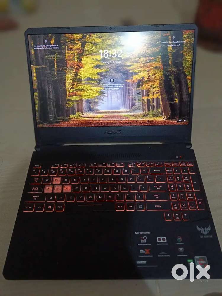 Asus tuf gaming 
Win11 pro for Workstation 
8gb/256ssd/1tb hdd gtx1650