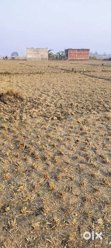 Hata pipra kapur 3 lakh dismil