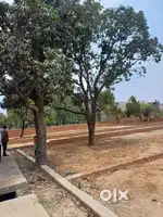 Plot for sell