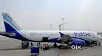 Training CSA Job on IGI Airport for Graduate freshers