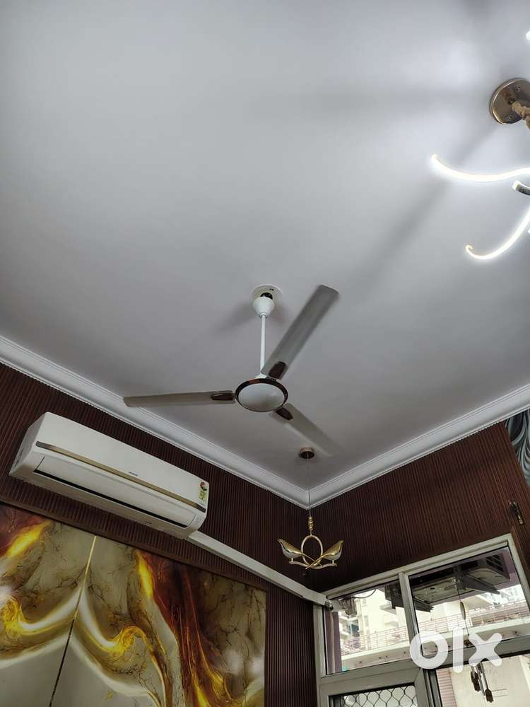 Ceiling fan