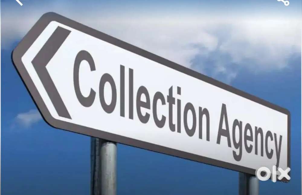 Collection Agency /Executive