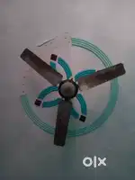 Fan orginal