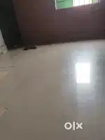 Want a girl room mate