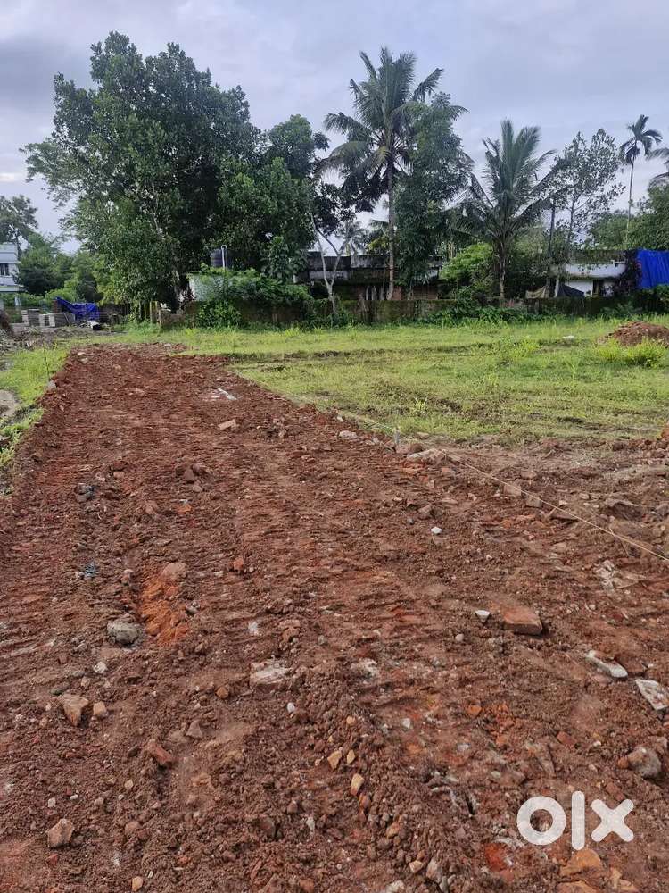 3 to 4CENT ORIGINAL LAND FOR SALE  NORTH PARAVOOR THATHAPPILLY