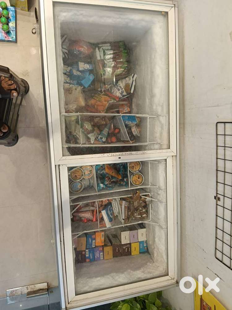 Blue Star Double Door Deep Freezer – Heavy-Duty, Works Perfectly