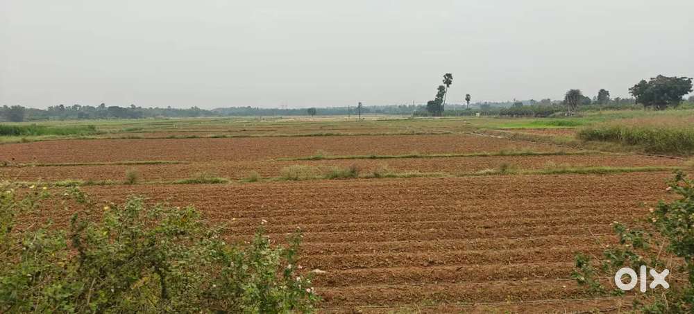 40 cents land for sale @1.7  lachs per 1 cent