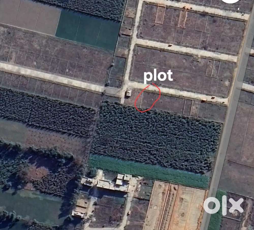 Plot for urgent sale 18 front 50 depth 100 gajj