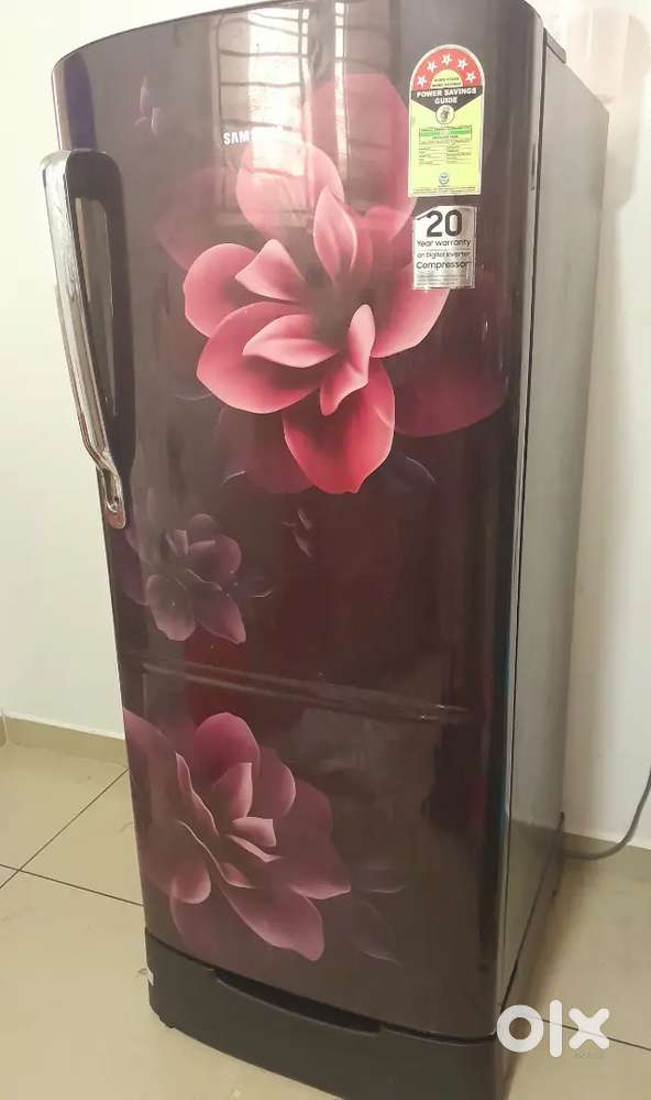 Fridge recently bought (2024)