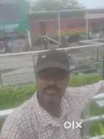 I am south Indian Tifin master only  8hours duty