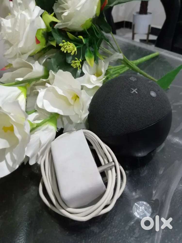 This alexa is used for 2 months only