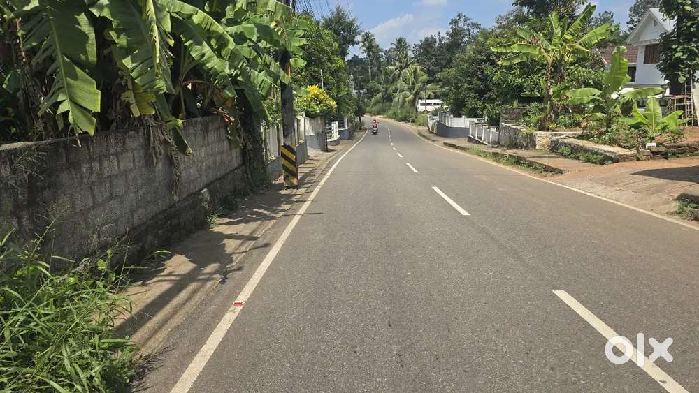 Aluva Desom 20 cent house plot for sale immediately