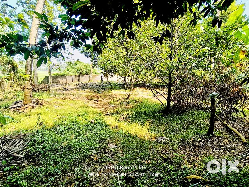 ആലുവ, ടൗൺ അശോകപുരം  ഒറിജിനൽ പുരയിടം 2018 ൽ വെള്ളം കയറാത്ത 
7 സെന്റ്