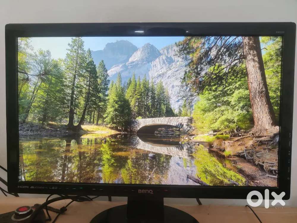 BenQ 22 inch monitor