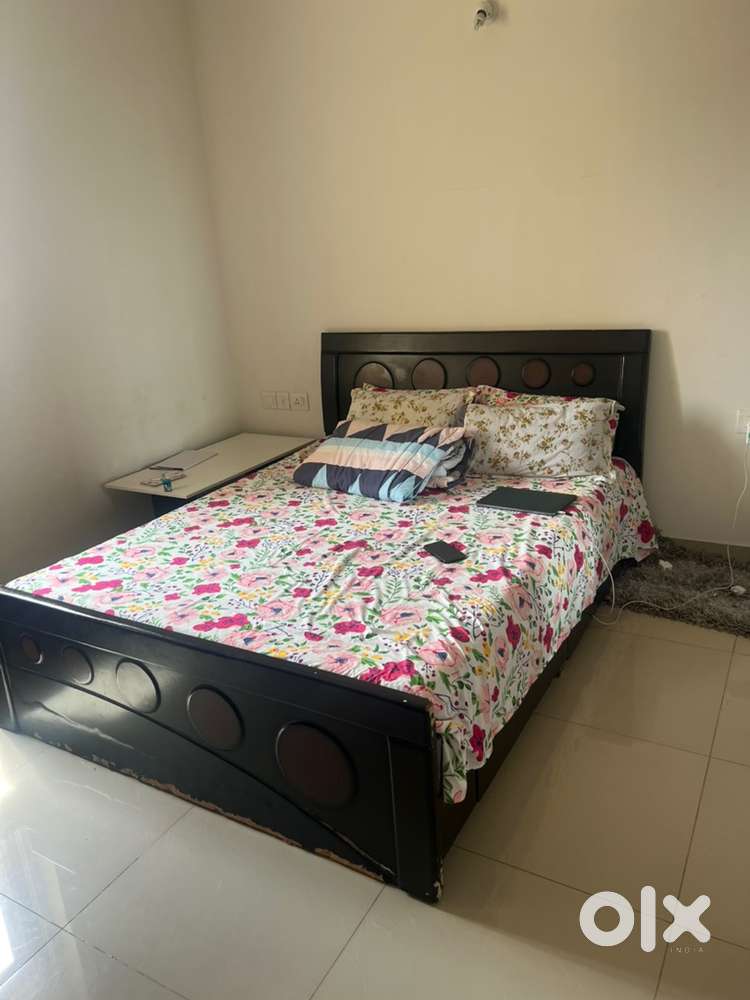 Moving out sale - Queen size bed/cot for Rs 2000