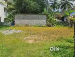 Green land of thenkurussi