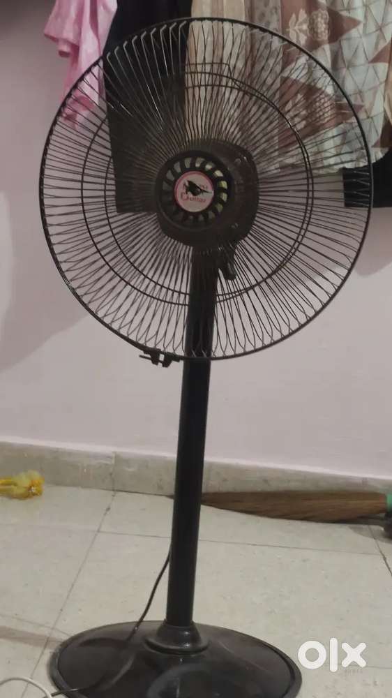 Fan fan paratha 2025 15 August  ko leya ta working condition