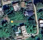 Myadi Patta Land for sale