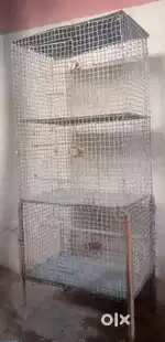Love birds cage
