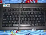 Tvs gold keyboard usb