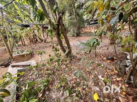 FOR SALE RESIDENTIAL PLOT AT LNCP NEAR KARYAVATTOM TRIVANDRUM
