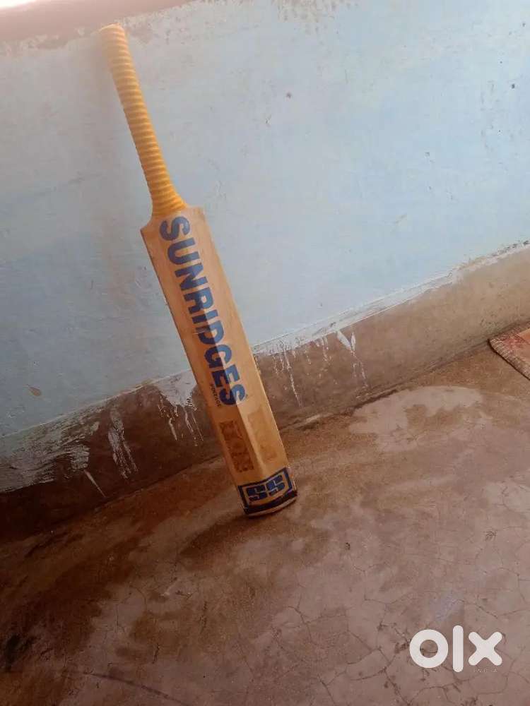 Kashmir willow cricket bat