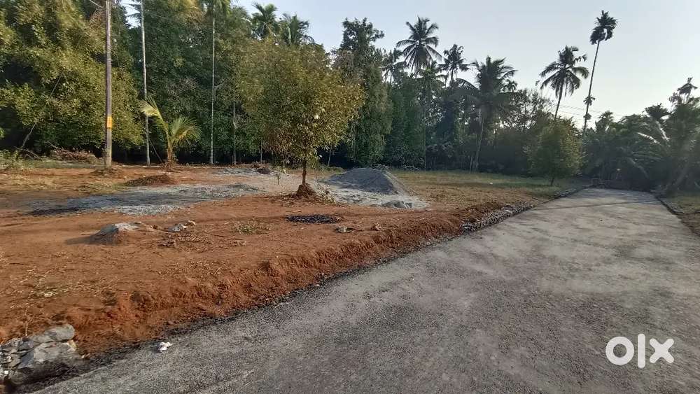 Angamaly 4, cent 5 cent 8 cent 10 cent plots available