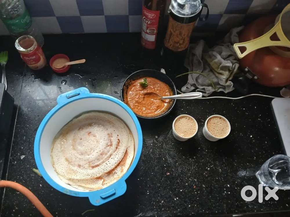 Looking for a lady roommate