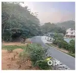 Agriculture land near Munnar suitable for resorts & homestays