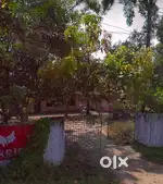 25 cent Land and 2 buildings for Business/Godown/Homestay/Offices etc