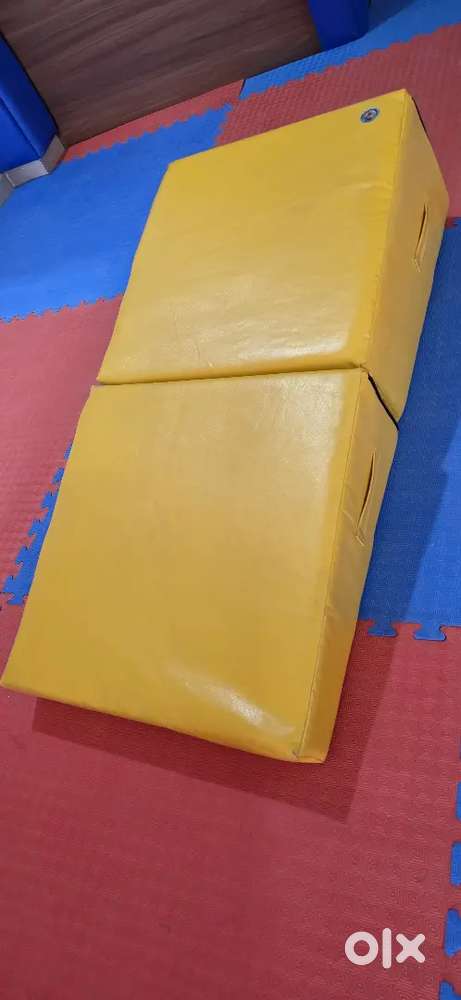 Need a female trainer for a kids gym