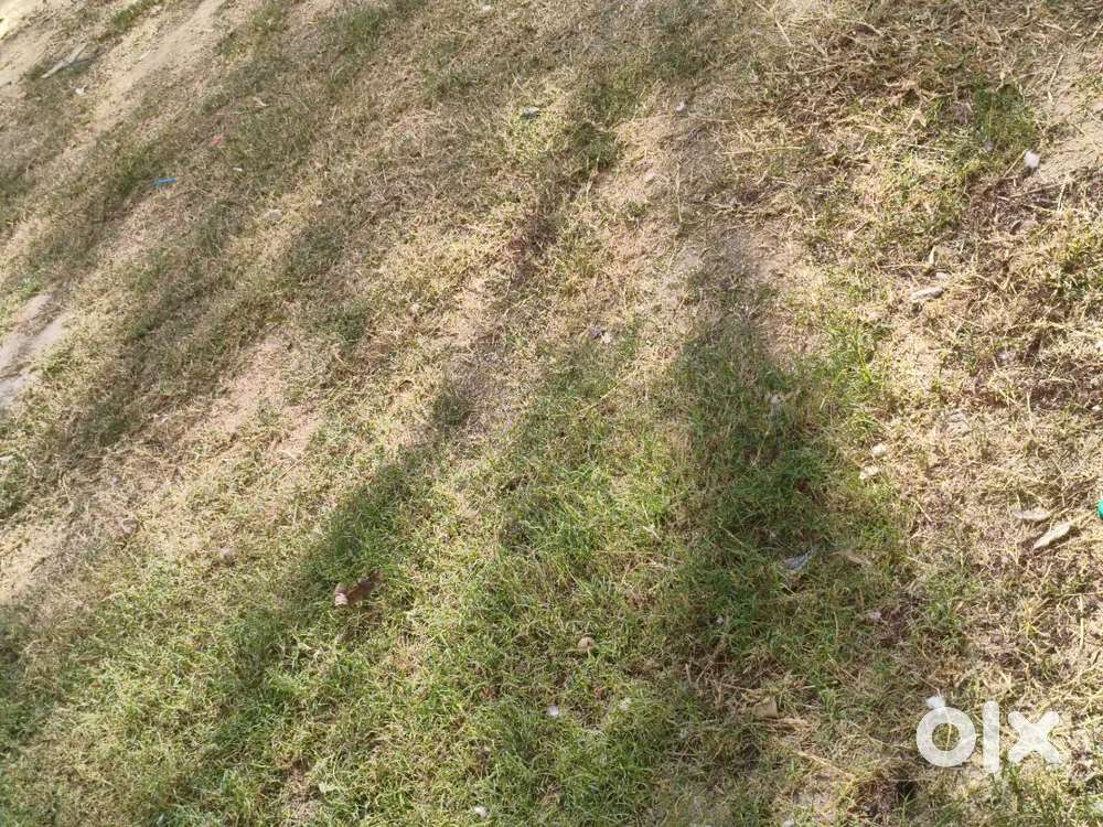 Near cantt and Tatia University