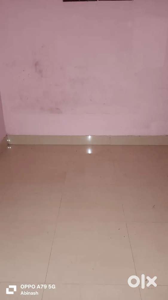 Need a good roommate