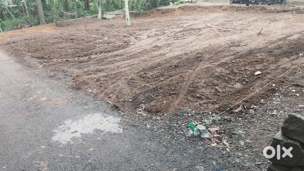 Vizhinjam  international sea port near