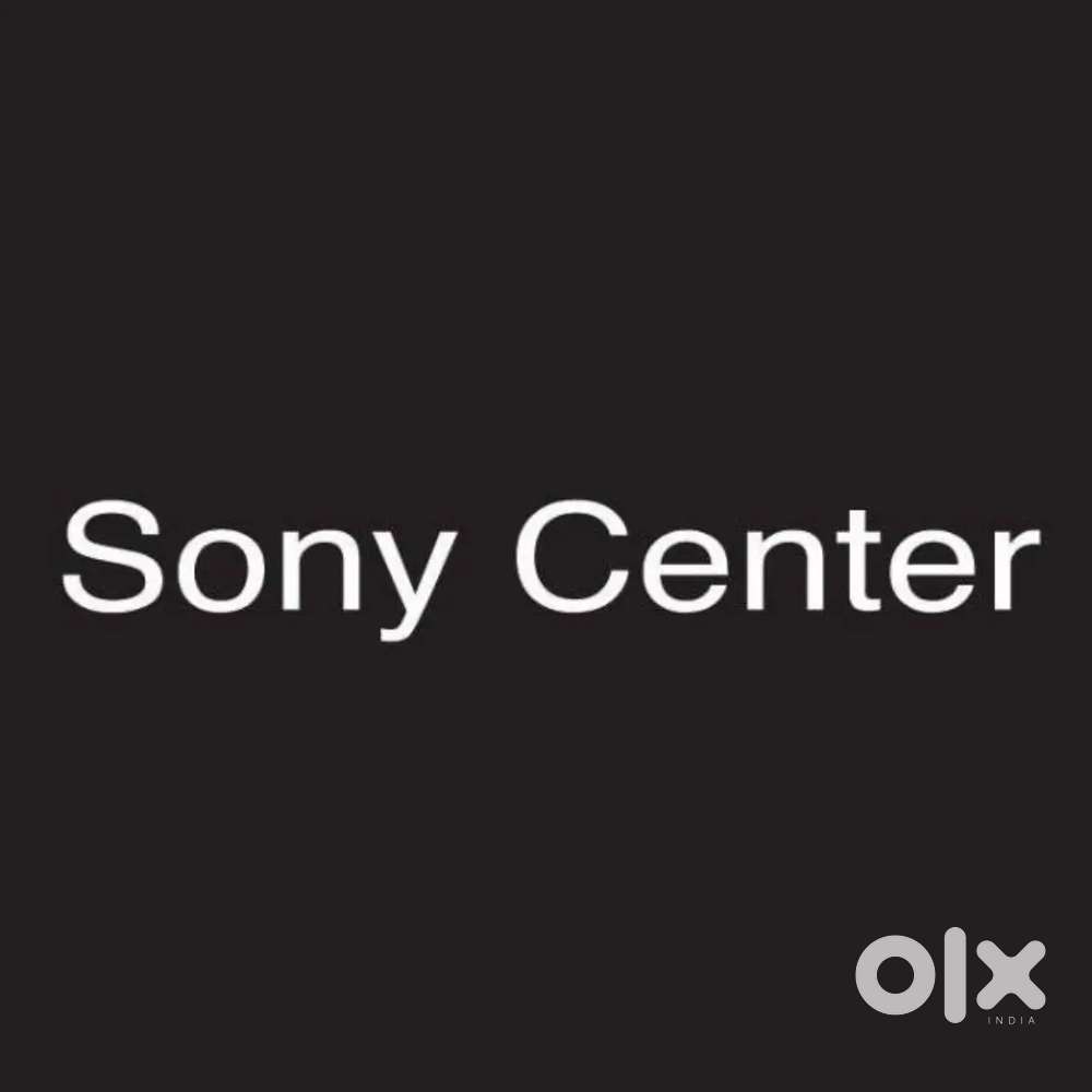 Sales representative at Sony center