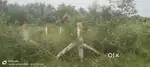 East south corner site for sale saravanampatti