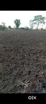 3 acer agriculture land