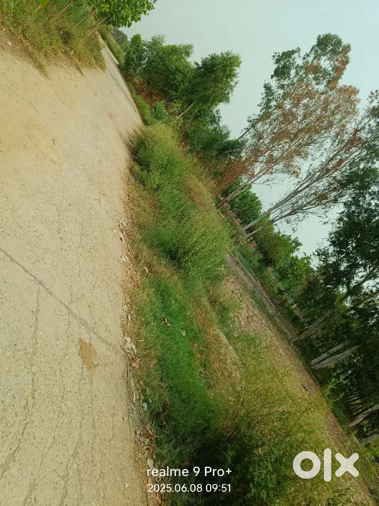 30×65 plot for sell arjent 2.50 lakh