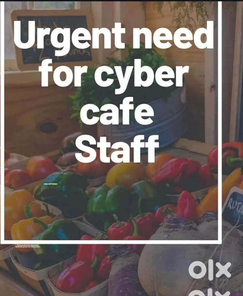 Urgently required staff for pragya kendra