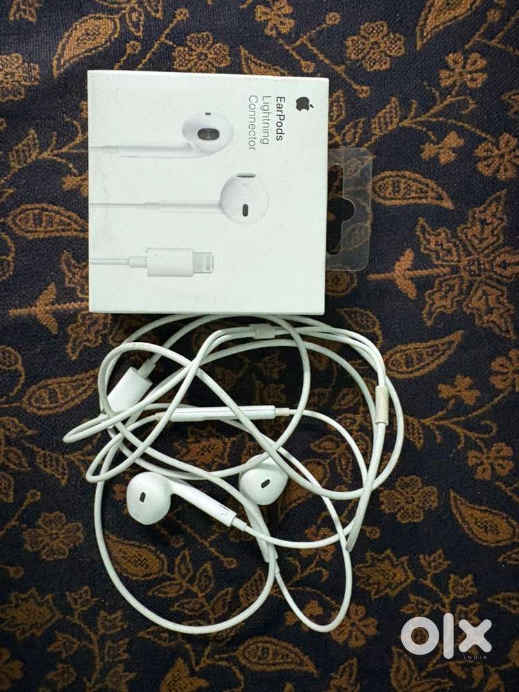 Apple wired earphones( lightning)