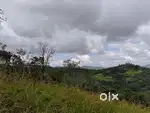 plot for sale in vagamon 10 & 20 cents  60000/cent