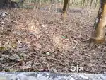 1.12 Acres of Rubber Plantation and Land near Kottarakara, Kollam