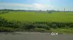 Very Urgent Sale