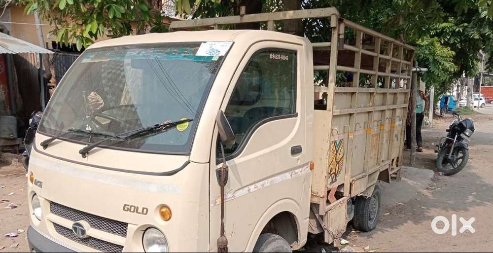 Tata Ace gold